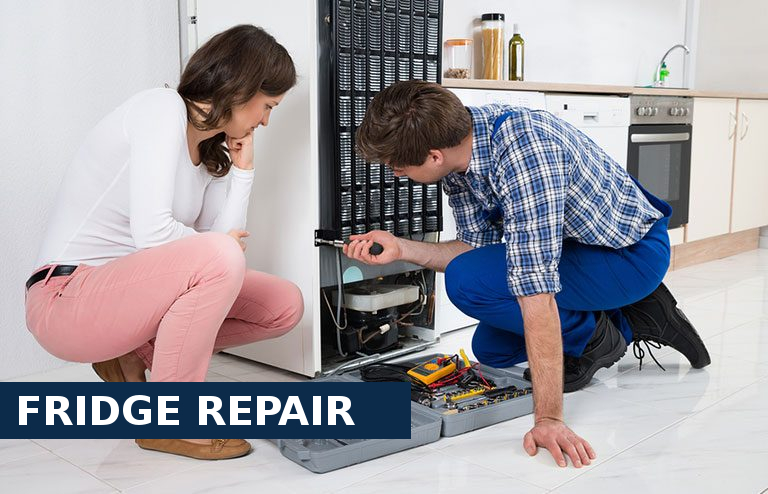 Fridge Repair Morden Park